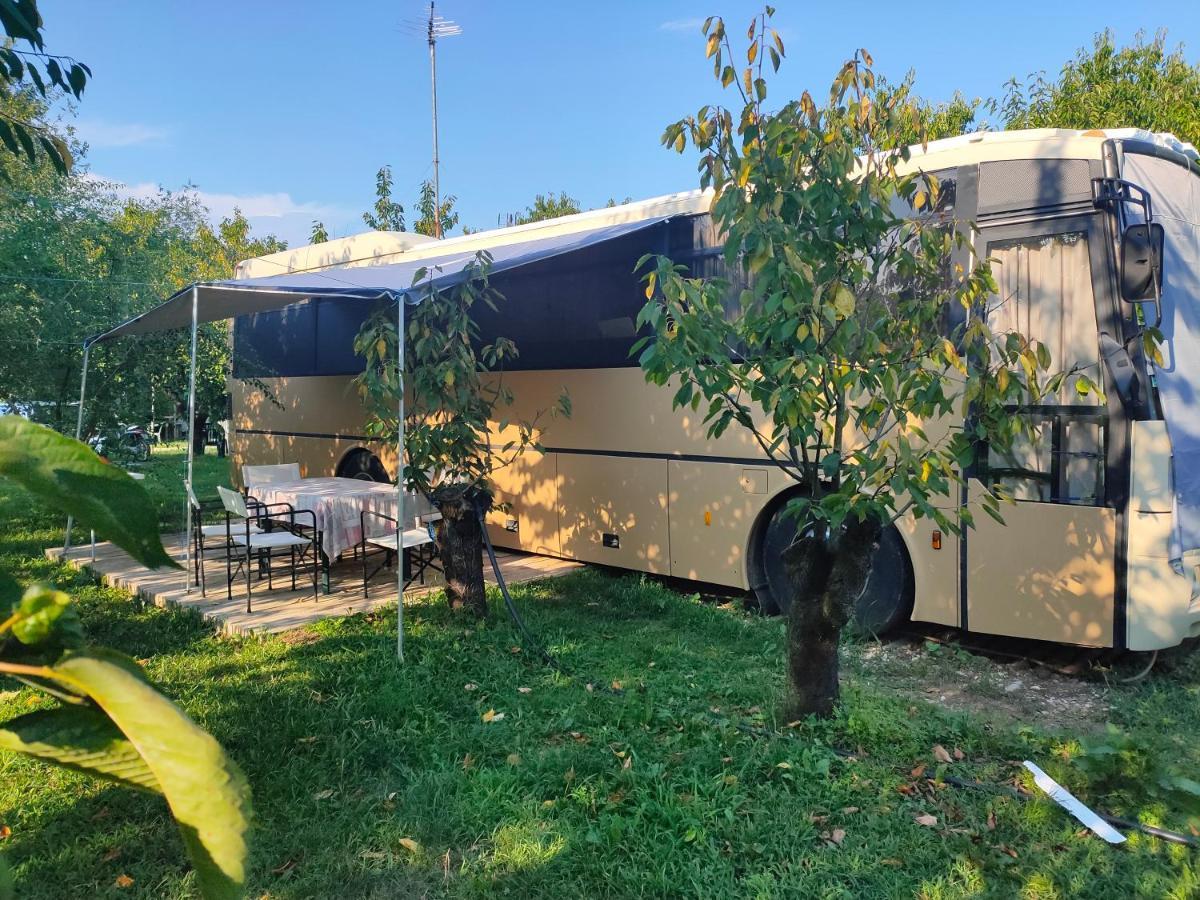 Terrebiobus Hotel Visnadello Exterior photo
